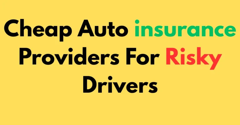Cheap auto insurance providers for risky drivers